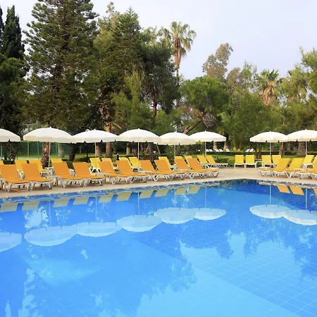 Asteria Collection 5* シダ