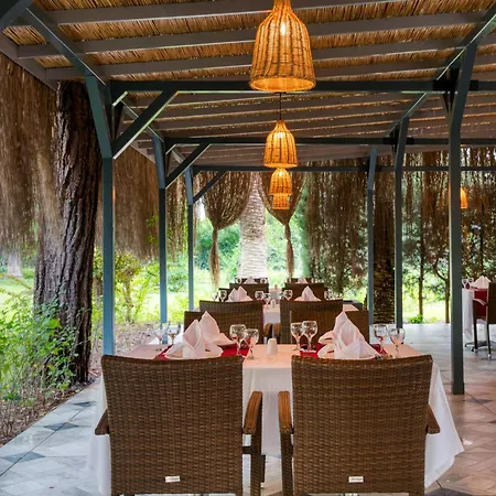 Asteria Collection 5*