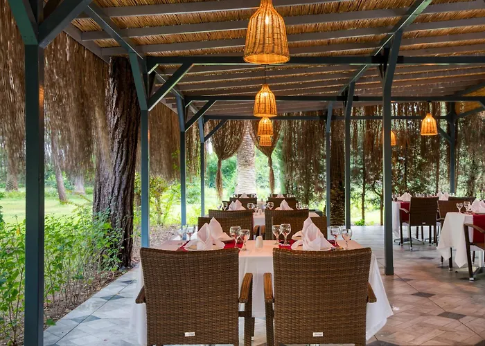 Asteria Collection 5*